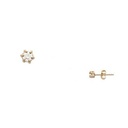 CIRCONITA 5MM GOLDEN