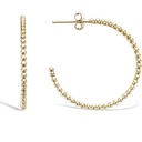 [920122EW005CH] AROS BALLS 40MM GOLDEN