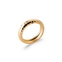 [122950300CH-50] ANILLO AGUAS GOLDEN (10)